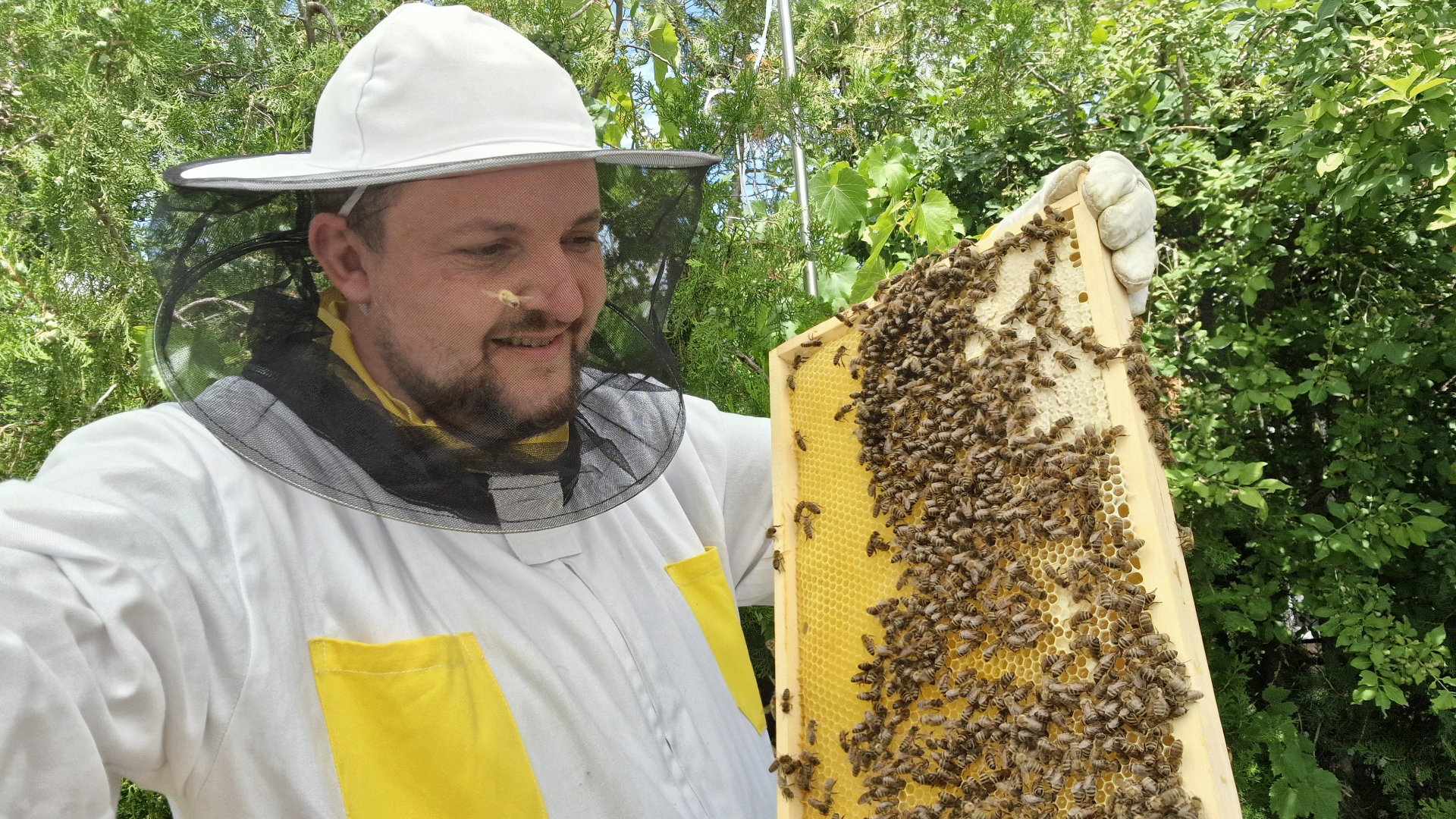 David Štolpa při práci se včelami na stanovišti ve Znojmě
